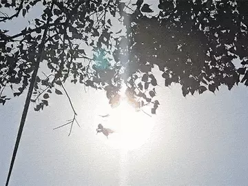 छत्तीसगढ़ में भीषण गर्मी का कहर, 18 जिलों में हीटवेव अलर्ट जारी