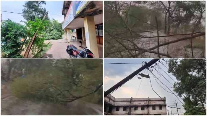 भिलाई-दुर्ग में तेज अंधड़ का कहर, कई जगह पेड़ उखड़े और बिजली व्यवस्था ठप