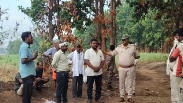 जंगल में महुआ बीनने गए बुजुर्ग दंपती पर हाथी का हमला, दोनों की दर्दनाक मौत