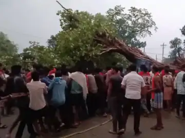 पेड़ पर फंसी महिला को रेस्क्यू कर सुरक्षित उतारा, बड़ा हादसा टला